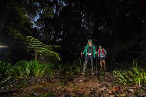 BIB: 
                            <button type="button" onclick="openModal(19245536)" class="btn btn-primary btn-sm float-right btn-popup" data-toggle="modal" data-target=".modal-high-quality">
                        <i class="fas fa-shopping-cart"></i> Add to Cart
                    </button>
                                            <button type="button" onclick="isThisMe(19245536, true)" class="btn btn-success btn-sm float-right btn-popup btn-isme hidden" data-toggle="tooltip" data-placement="bottom" title="นี่คือรูปของคุณใช่ไหม คลิกที่นี่เพื่อเอาเข้าอัลบั้ม">
                        <i class="fas fa-plus"></i> Add to album
                    </button>
                    <button type="button" onclick="isThisMe(19245536, false)" class="btn btn-warning btn-sm float-right btn-popup btn-isnotme hidden">
                        <i class="fas fa-ban"></i> Remove from album
                    </button>